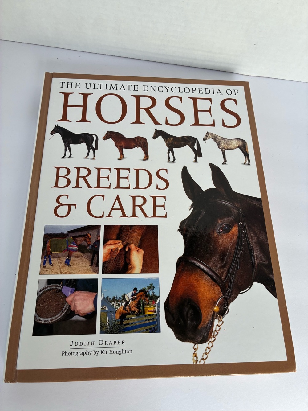 The Ultimate Encyclopedia of Horses: Breeds & Care - Judith Draper